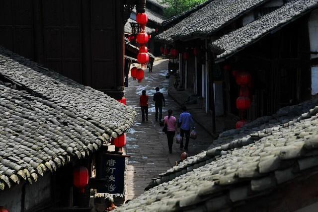 救援达尔马提亚狗